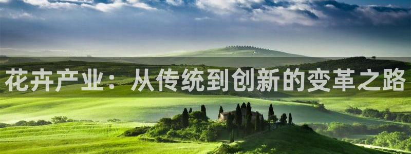 黑料大瓜在线：花卉产业：从传统到创新的变