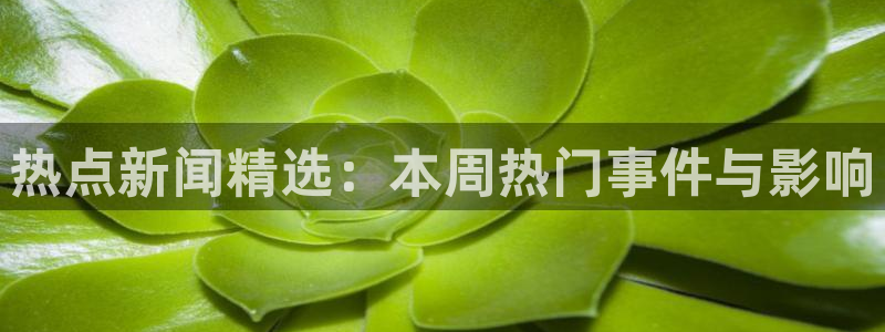 热门黑料：热点新闻精选：本周热门事件与影响