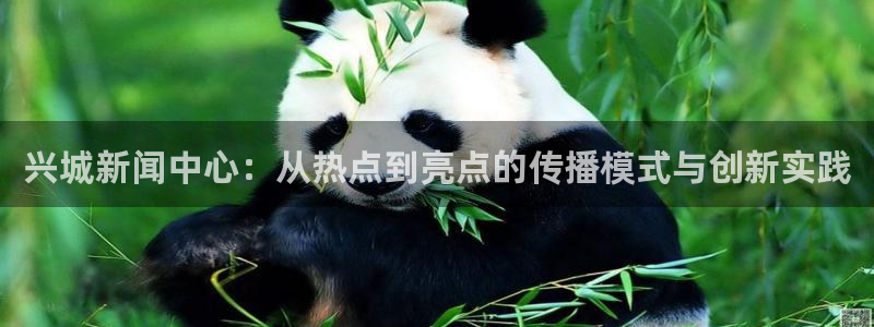 “155.fun黑料：兴城新闻中心：从热点