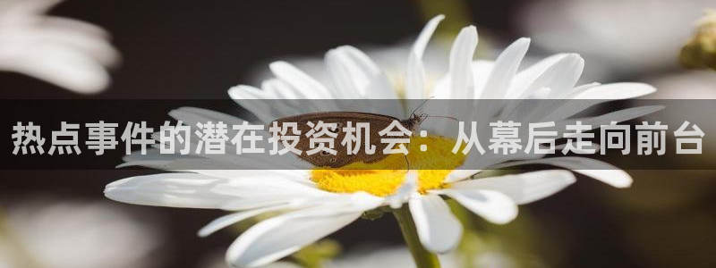 黑料正能量在线观看：热点事件的潜在投资机会：从幕后走向前台