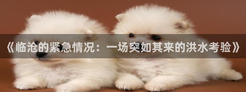 快手宋星星一对一黑料