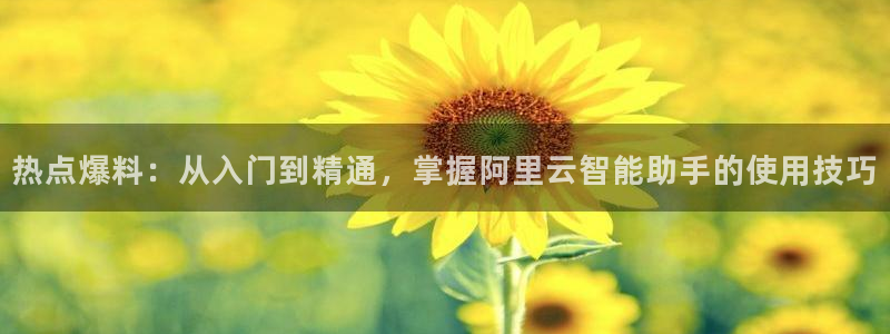 “黑料打不开：热点爆料：从入门到精通，掌握