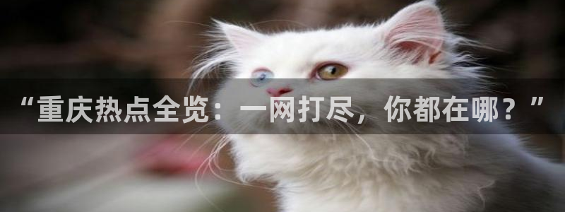 “免费看黑料网站：“重庆热点全览：一网打尽