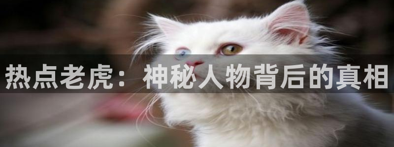 “黑料社正能量入口官网：热点老虎：神秘人物