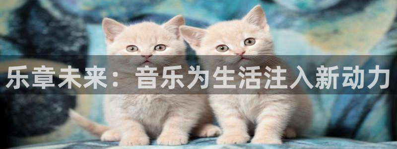 网红的黑料：乐章未来：音乐为生活注入新动