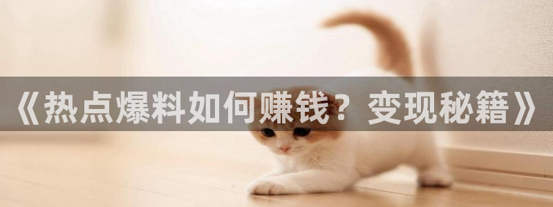 黑料21：《热点爆料如何赚钱？变现秘籍》